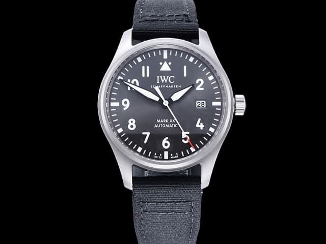 Titanium 40mm Leather Strap Pilots Mark XX Grey Dial IWC-24031